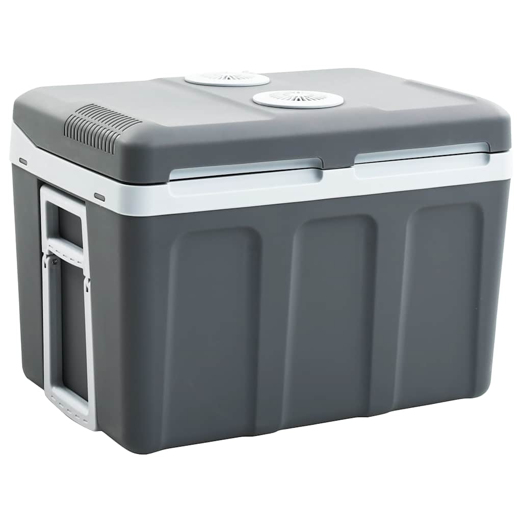 Koelbox Thermo-Elektrisch Draagbaar 12 V 230 V E