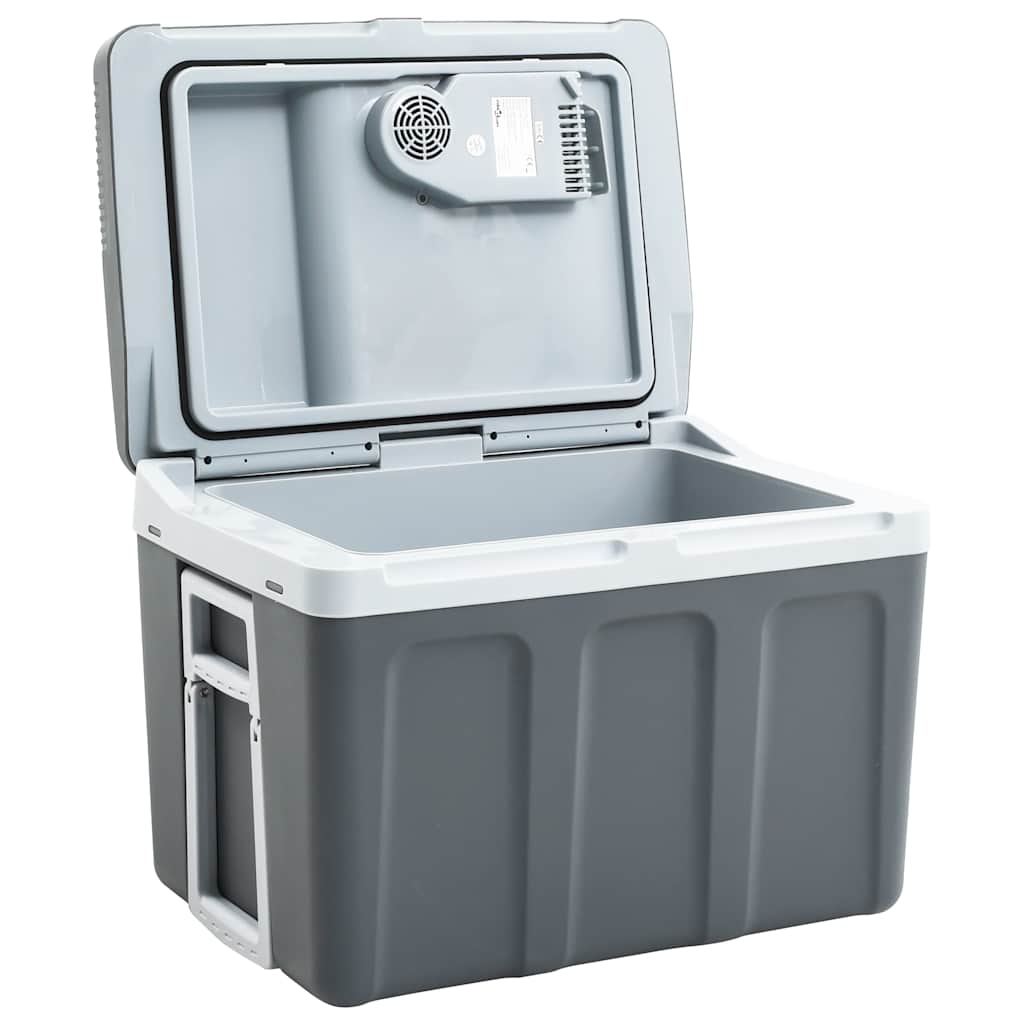 Koelbox Thermo-Elektrisch Draagbaar 12 V 230 V E