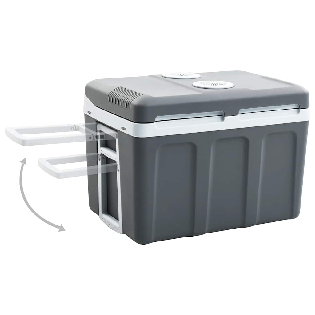 Koelbox Thermo-Elektrisch Draagbaar 12 V 230 V E