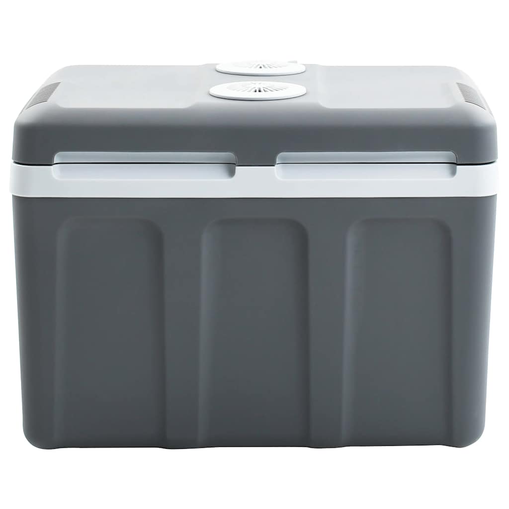 Koelbox Thermo-Elektrisch Draagbaar 12 V 230 V E