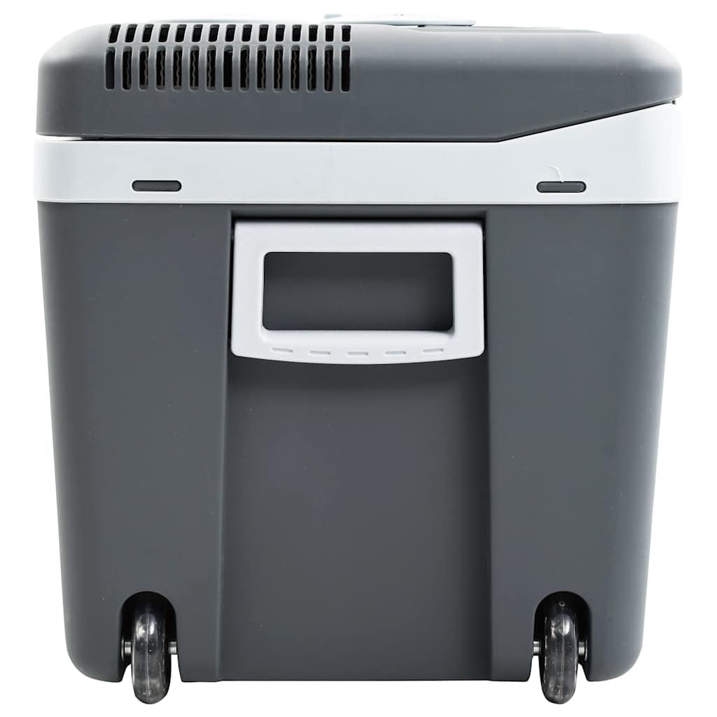 Koelbox Thermo-Elektrisch Draagbaar 12 V 230 V E